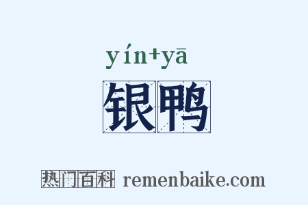 银鸭是什么意思的图片